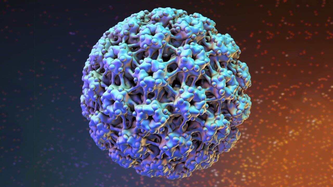 What is HPV?